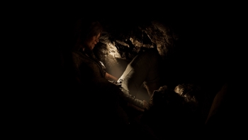 Shadow of the Tomb Raider Screenshot Shadow of the Tomb Raider Screenshot